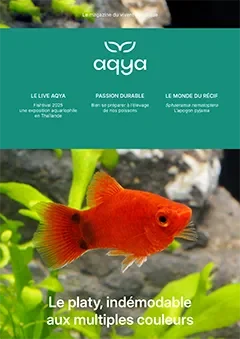 magazine N°2 Aqya