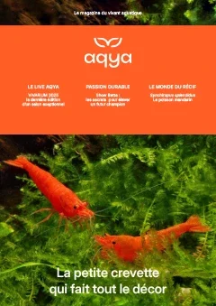 magazine N°4 Aqya