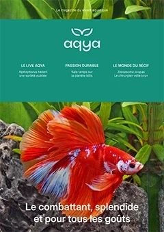 magazine N°3 Aqya